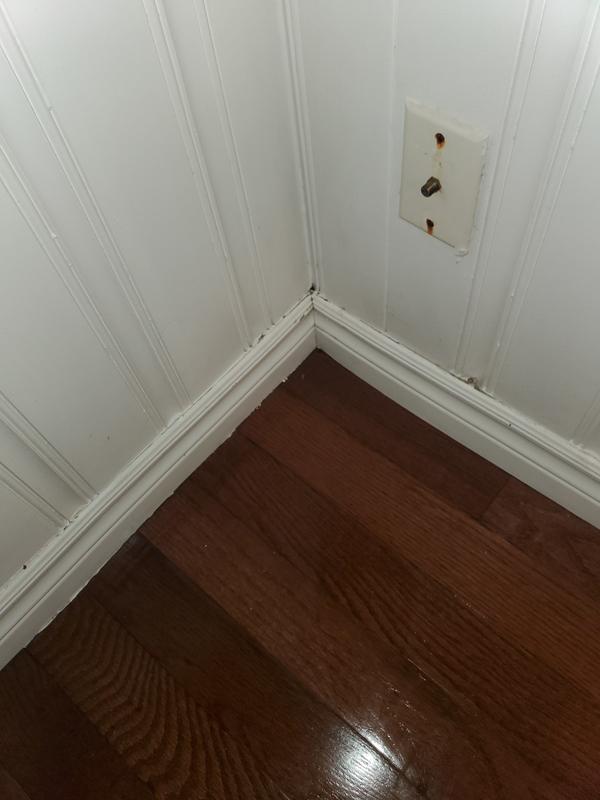 Photo - commentaire&nbsp;2.