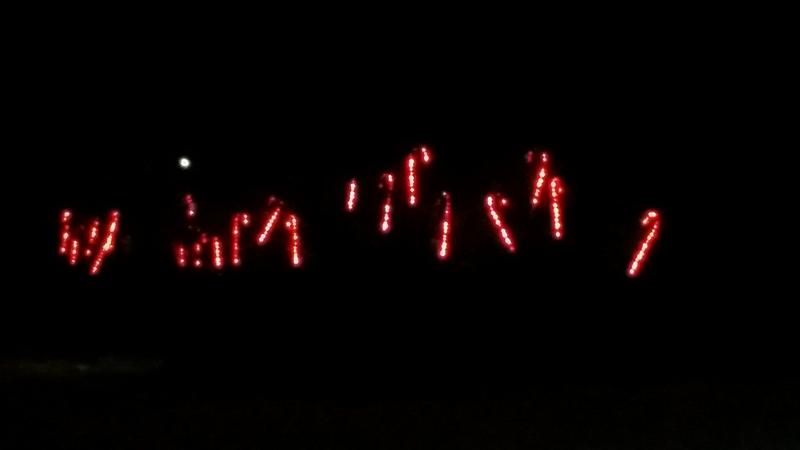 Canes hanging in trees