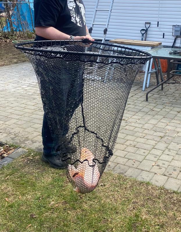 Photo - commentaire&nbsp;1.