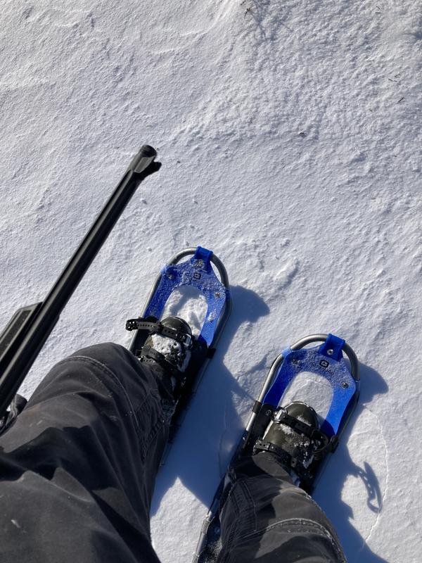 Photo - commentaire&nbsp;4.