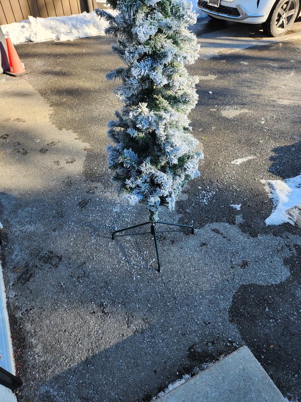 Photo - commentaire&nbsp;6.