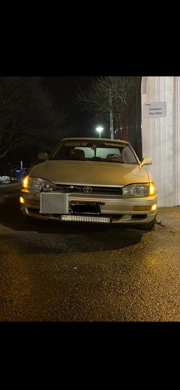 The top lights are the bulbs in review