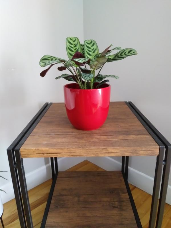 Photo - commentaire&nbsp;5.