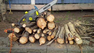 Logs cut