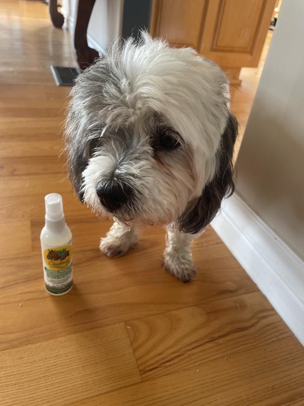 Photo - commentaire 5.