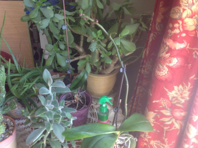 Photo - commentaire&nbsp;1.