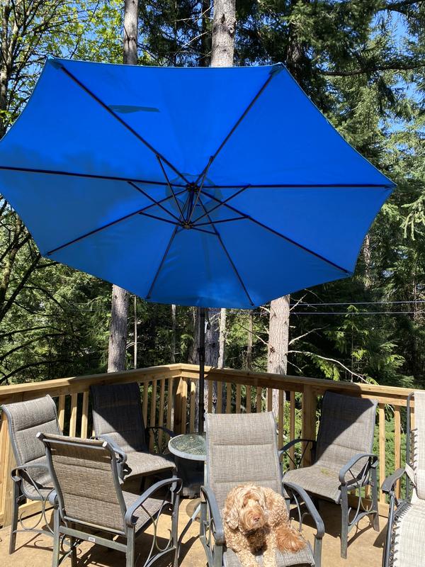 Photo - commentaire&nbsp;1.