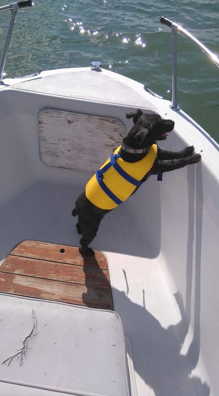 Photo - commentaire 6.