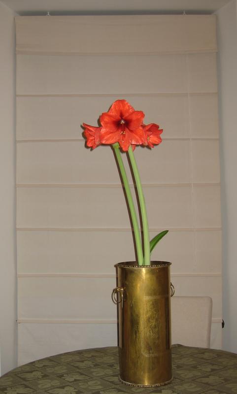 Photo - commentaire 2.