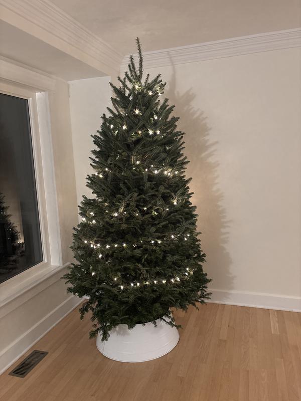 Photo - commentaire&nbsp;2.