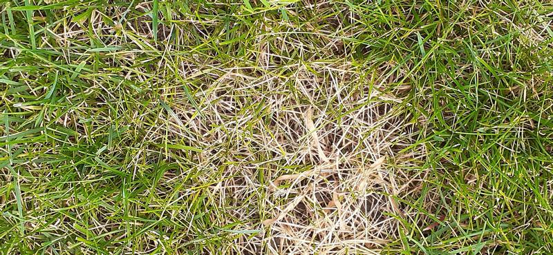 Photo - commentaire&nbsp;1.