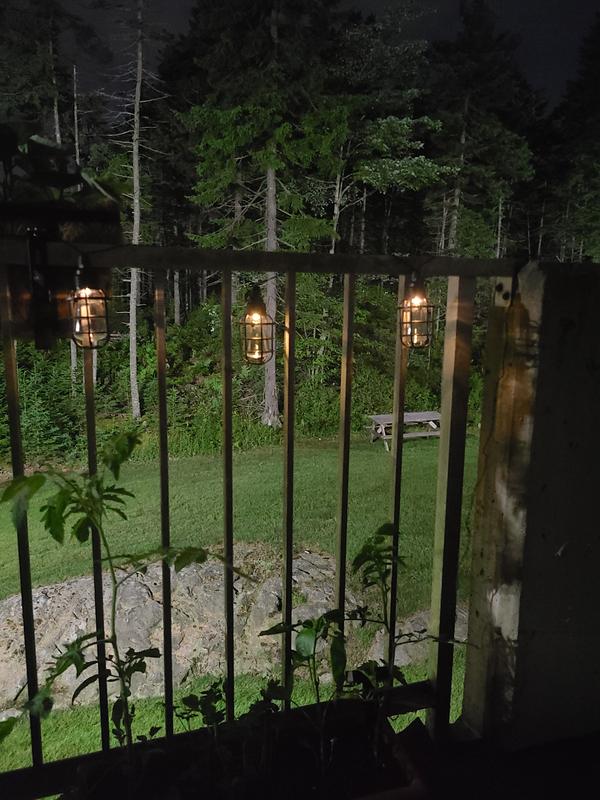 Photo - commentaire&nbsp;2.