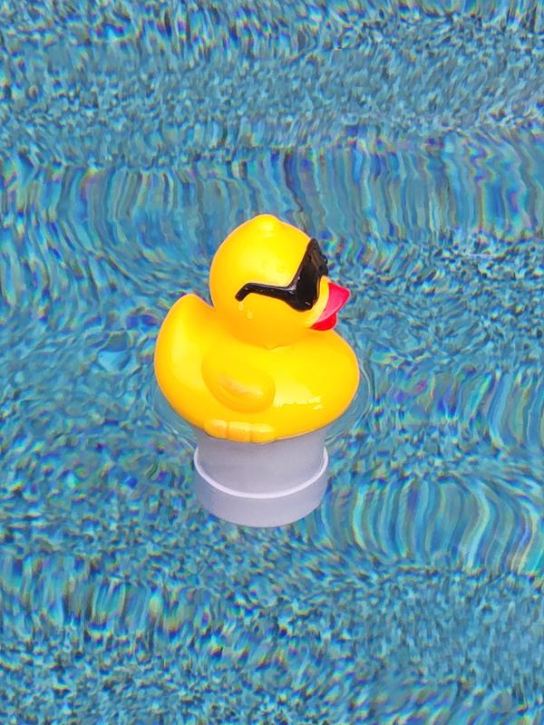 Photo - commentaire 1.