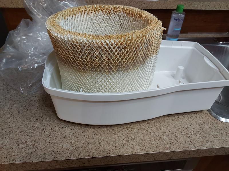 Photo - commentaire&nbsp;6.