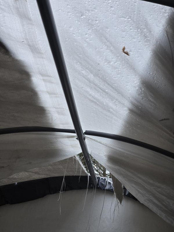 Photo - commentaire 5.