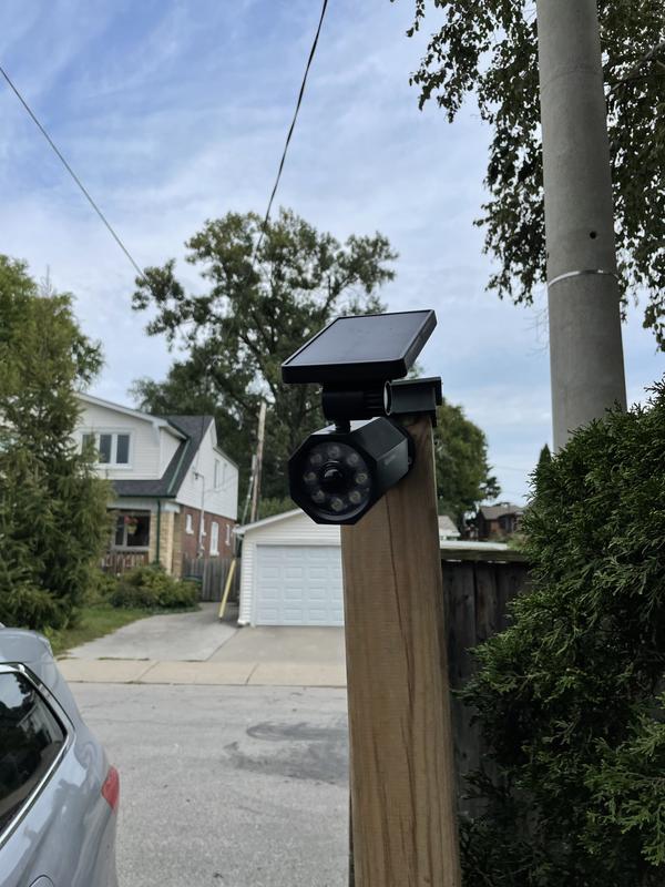 Photo - commentaire 6.