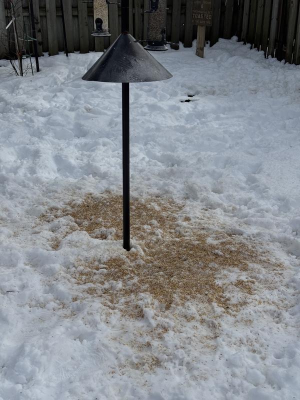 Photo - commentaire 1.