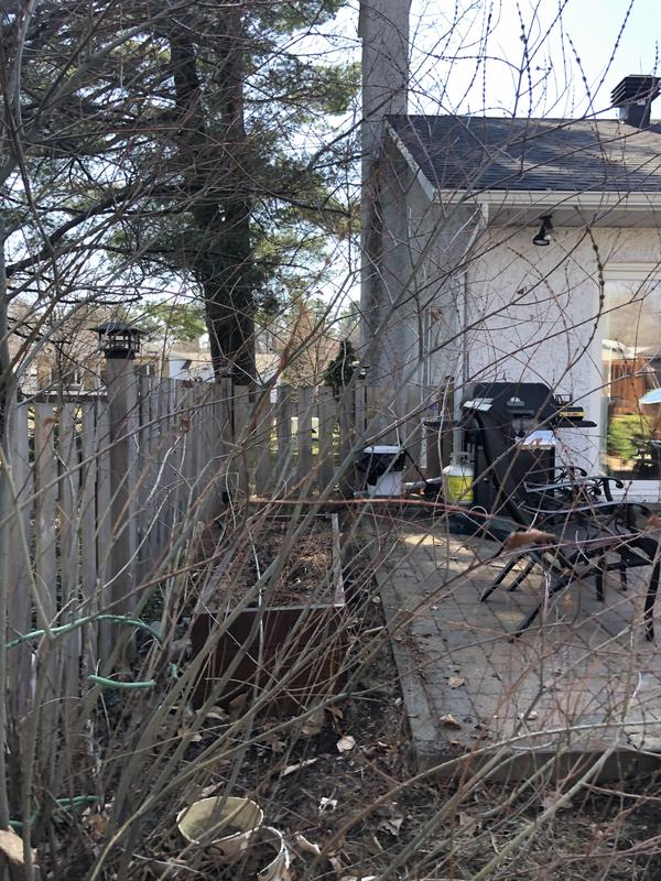 Photo - commentaire&nbsp;2.