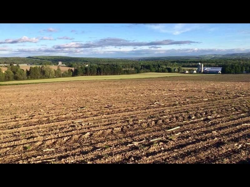 Photo - commentaire 2.