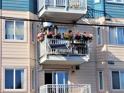 New Panel on the left. Old 20 watt on the right.