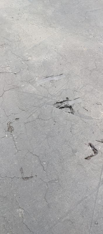 Damage to my driveway