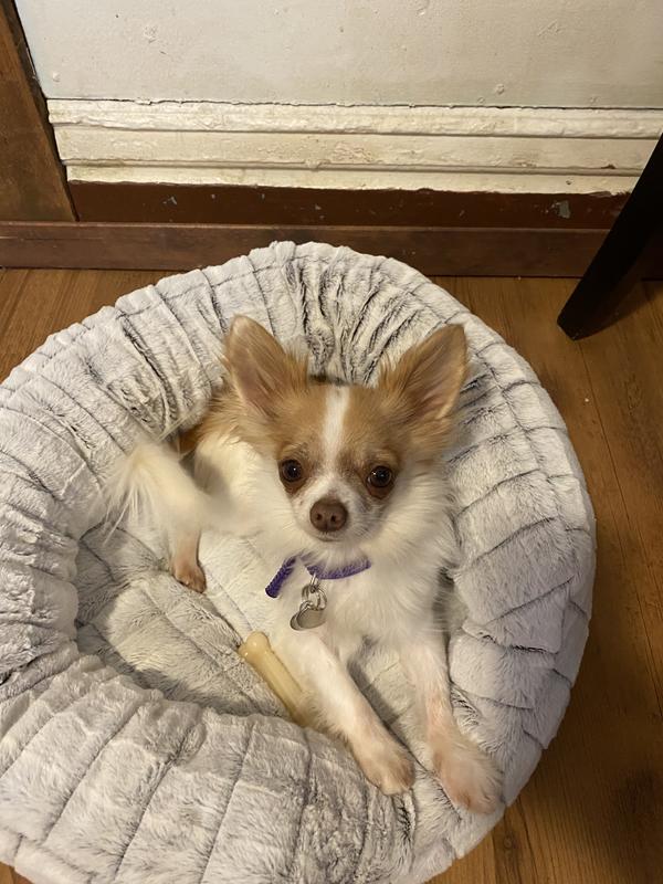 Photo - commentaire 3.