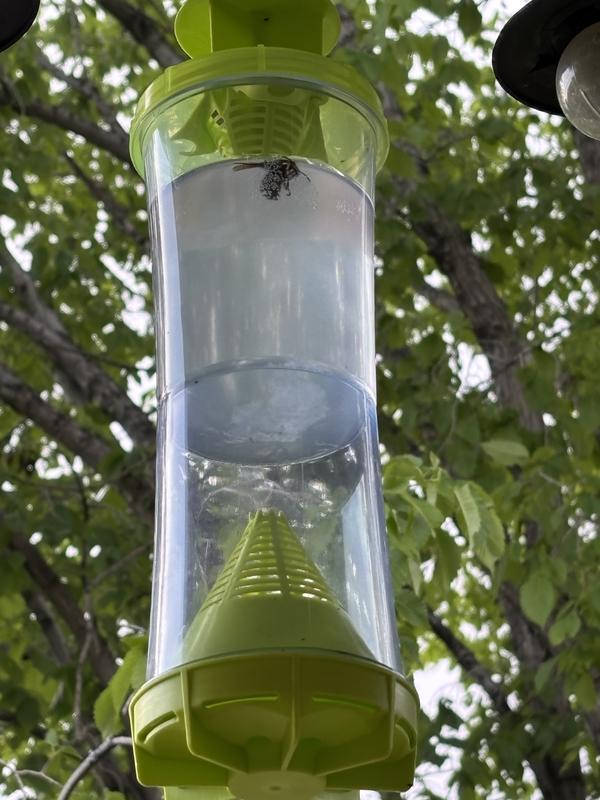 Examples of it in place and in use.