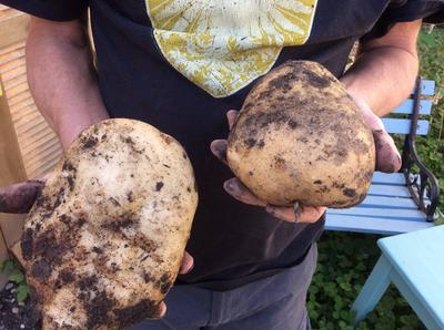 Photo - commentaire&nbsp;1.