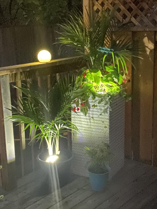 These are two of them simply placed on top of the soil in each of my planters.