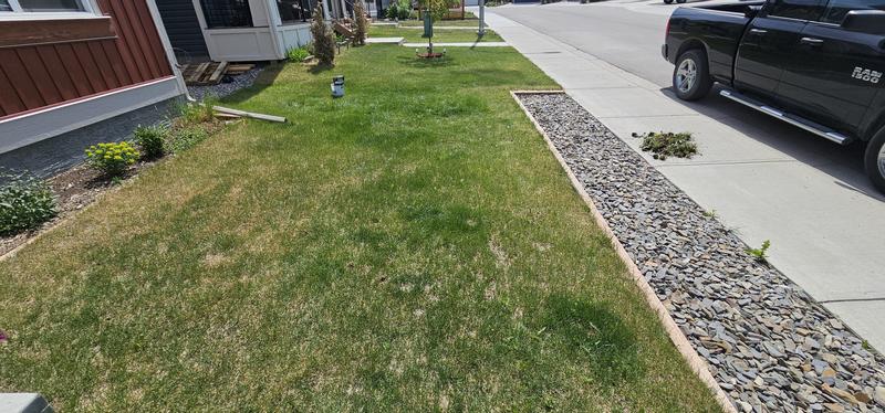 Photo - commentaire 7.