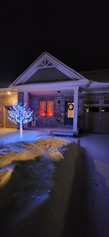 Photo - commentaire&nbsp;2.