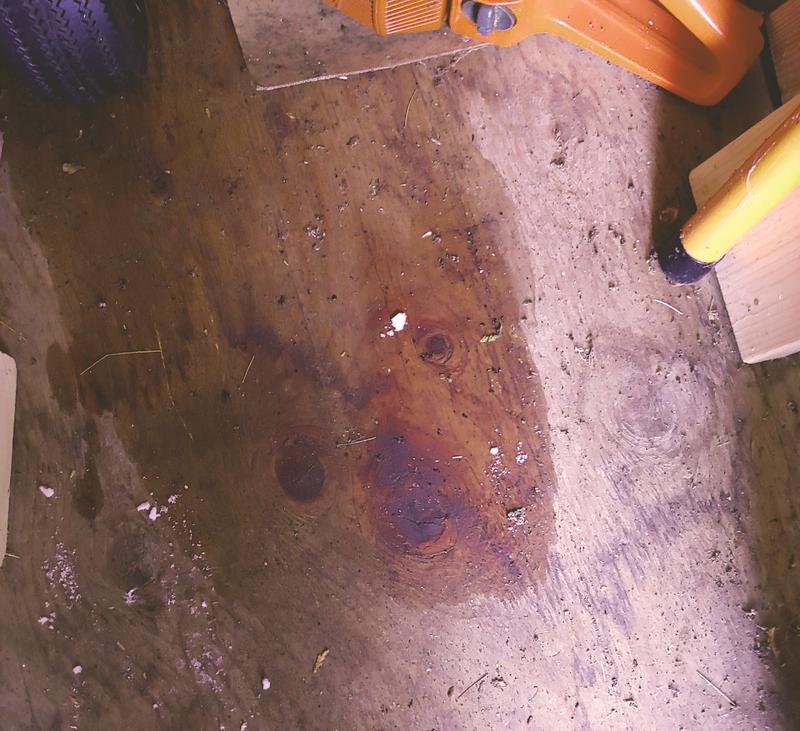 Photo - commentaire&nbsp;2.