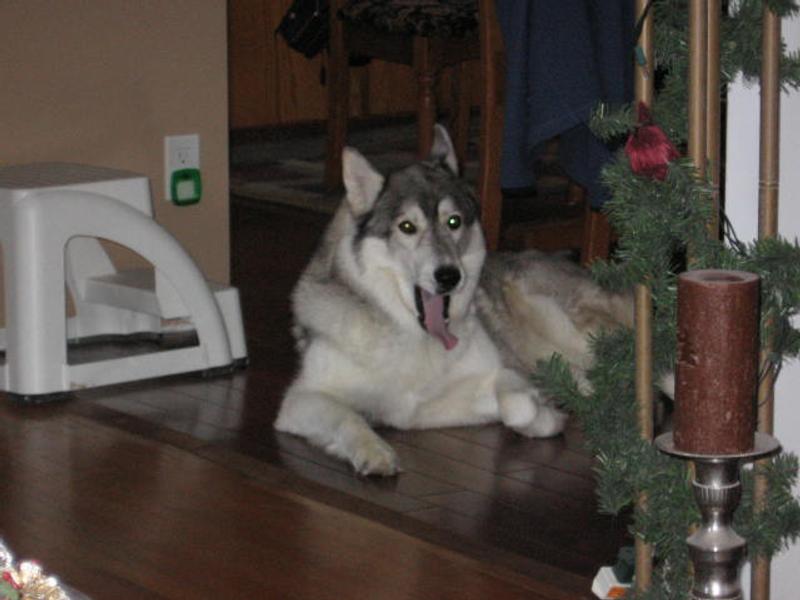 Photo - commentaire&nbsp;5.