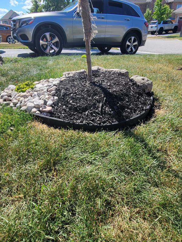 Photo - commentaire 4.