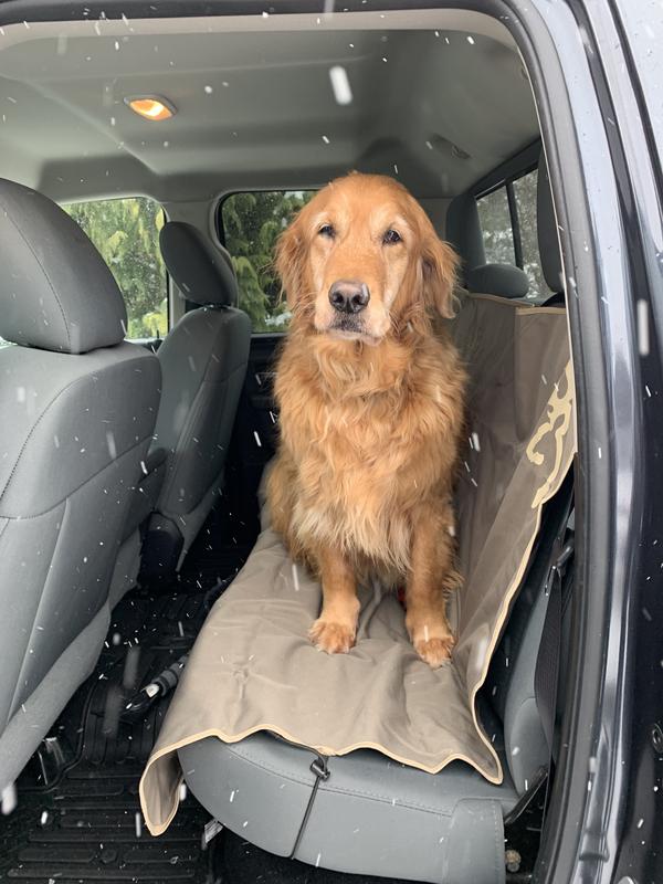 Photo - commentaire 1.