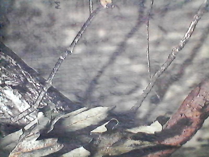 Photo - commentaire&nbsp;4.