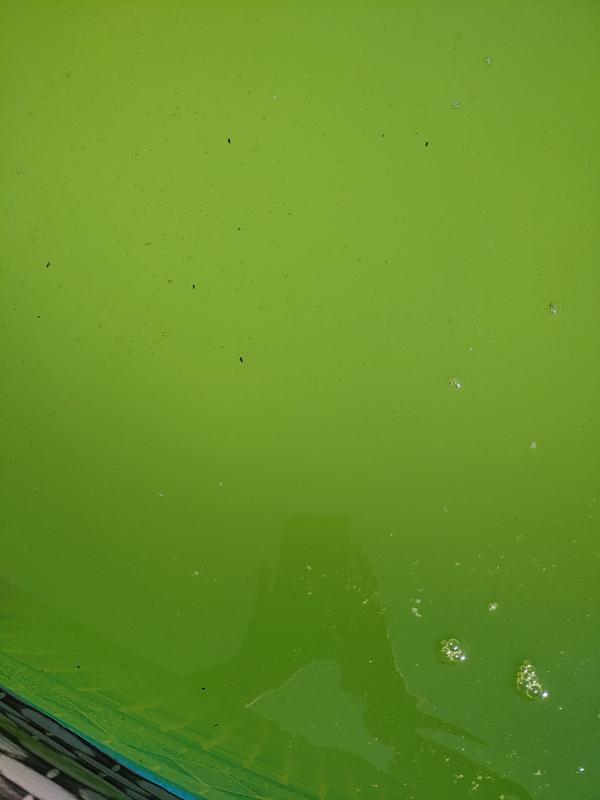 Photo - commentaire 2.