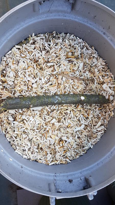 Apple, Pear, 1 1/2 Inch