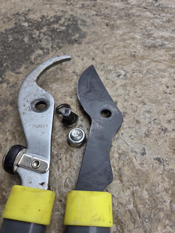 Photo - commentaire&nbsp;1.