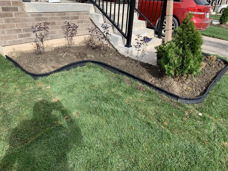 Photo - commentaire 2.