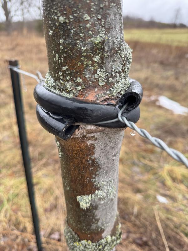 Photo - commentaire&nbsp;1.