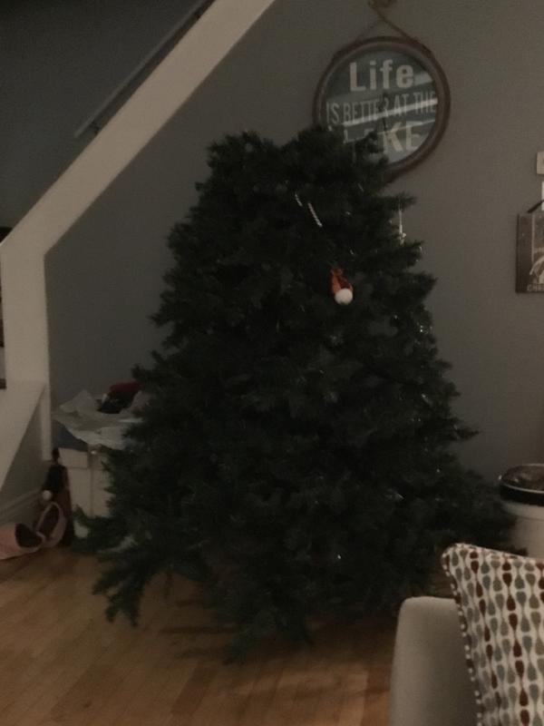 Photo - commentaire 5