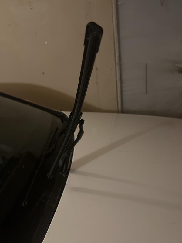 Photo - commentaire 3.