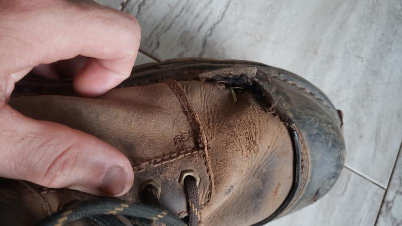 Photo - commentaire 4.