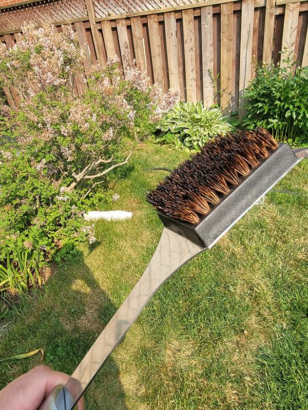 Photo - commentaire 2.