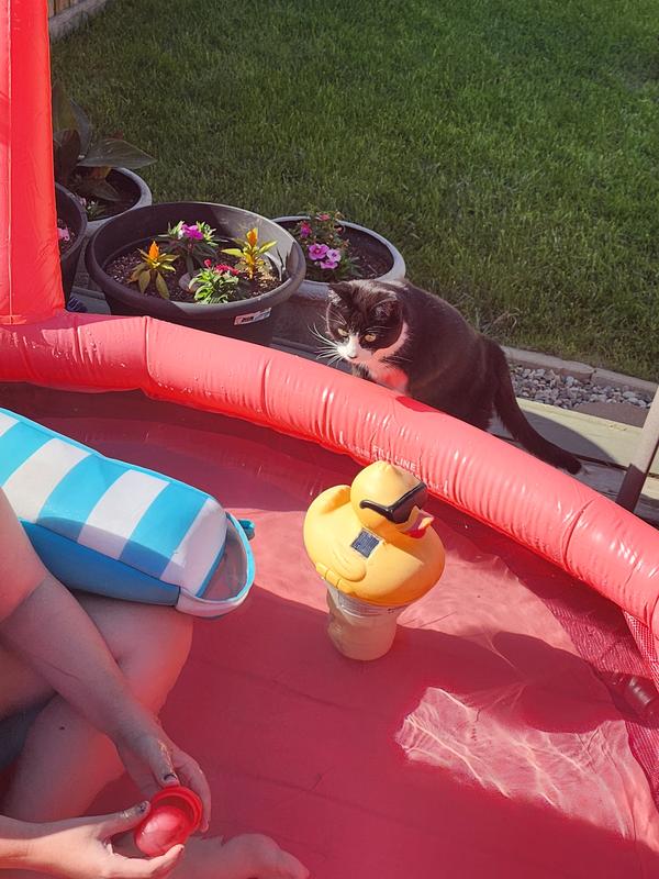 Photo - commentaire&nbsp;2.