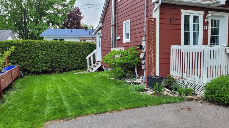 Grass already needs mowing after 3 days