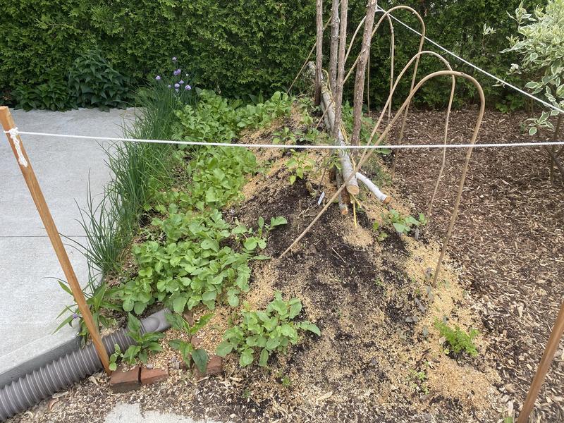 Still early for the garden but you can see them with the same ones from last year. They work!