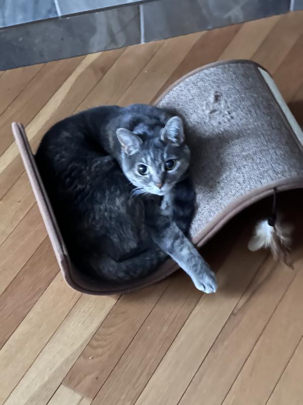 Photo - commentaire&nbsp;2.