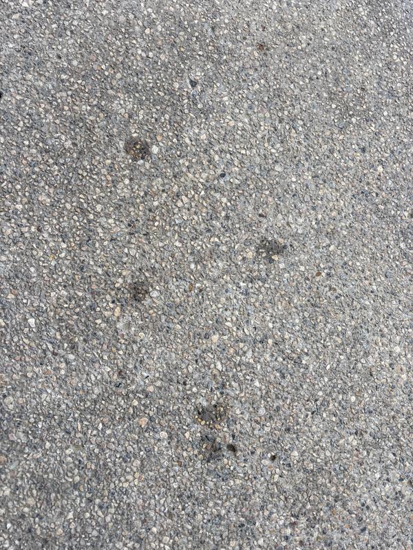 Photo - commentaire&nbsp;1.